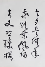 Load image into Gallery viewer, Huang Mian Calligraphy Vol. 2
