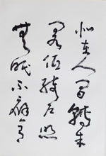 Load image into Gallery viewer, Huang Mian Calligraphy Vol. 2
