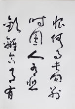 Load image into Gallery viewer, Huang Mian Calligraphy Vol. 2
