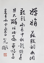 Load image into Gallery viewer, Huang Mian Calligraphy Vol. 2
