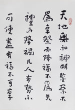 Load image into Gallery viewer, Huang Mian Calligraphy Vol. 2
