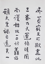 Load image into Gallery viewer, Huang Mian Calligraphy Vol. 2
