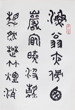 Load image into Gallery viewer, Huang Mian Calligraphy Vol. 2
